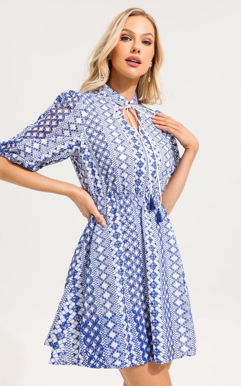 V-Neck Embroider Puff Sleeve Mini Dress