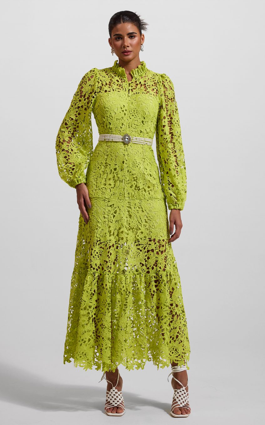 Lace Embroidered Long Sleeve Midi Dress Green
