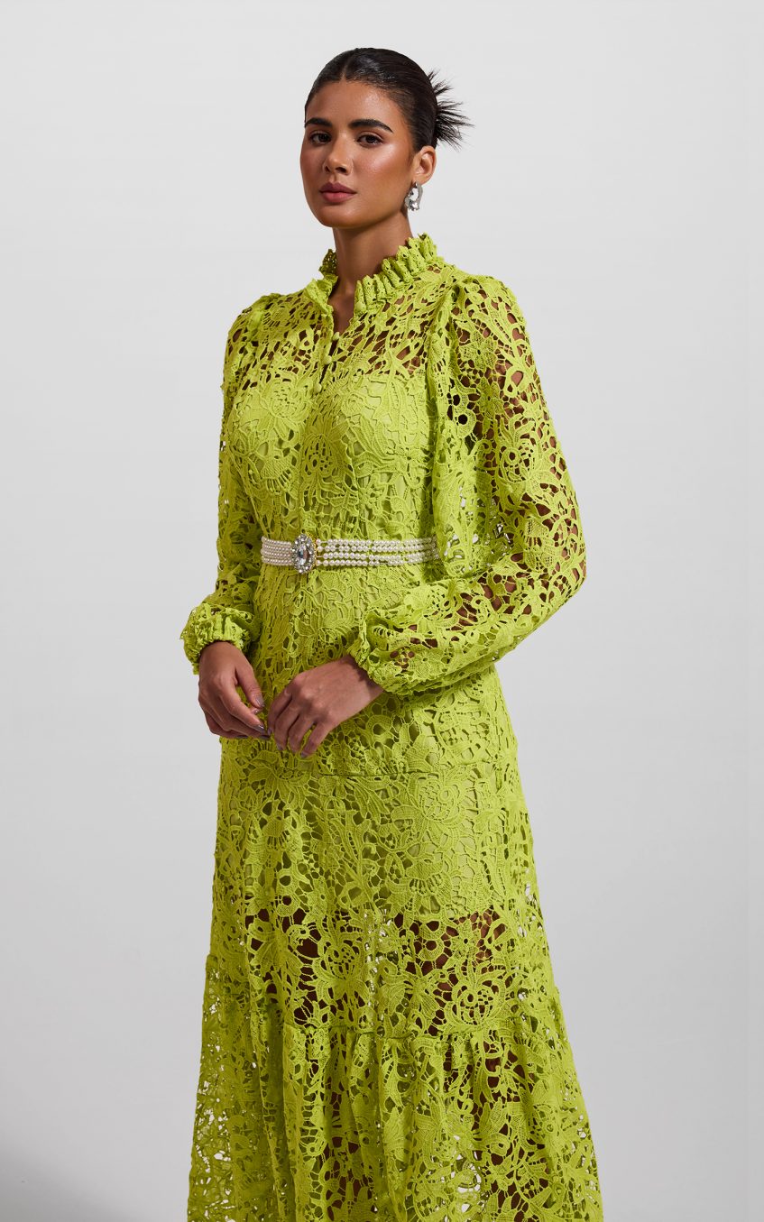 Lace Embroidered Long Sleeve Midi Dress Green
