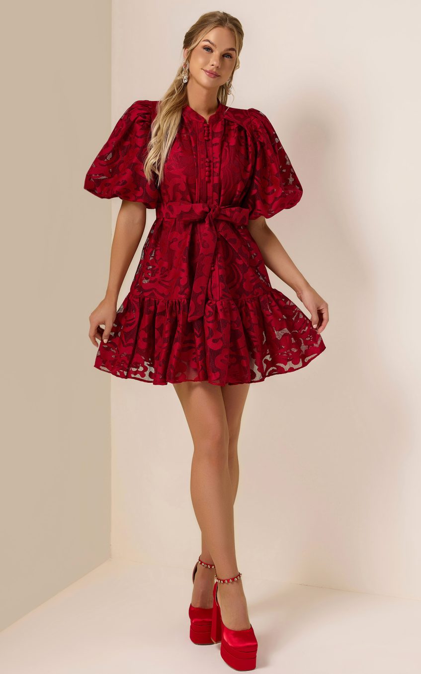 Lace Single Breasted Ruffle Mini Dress