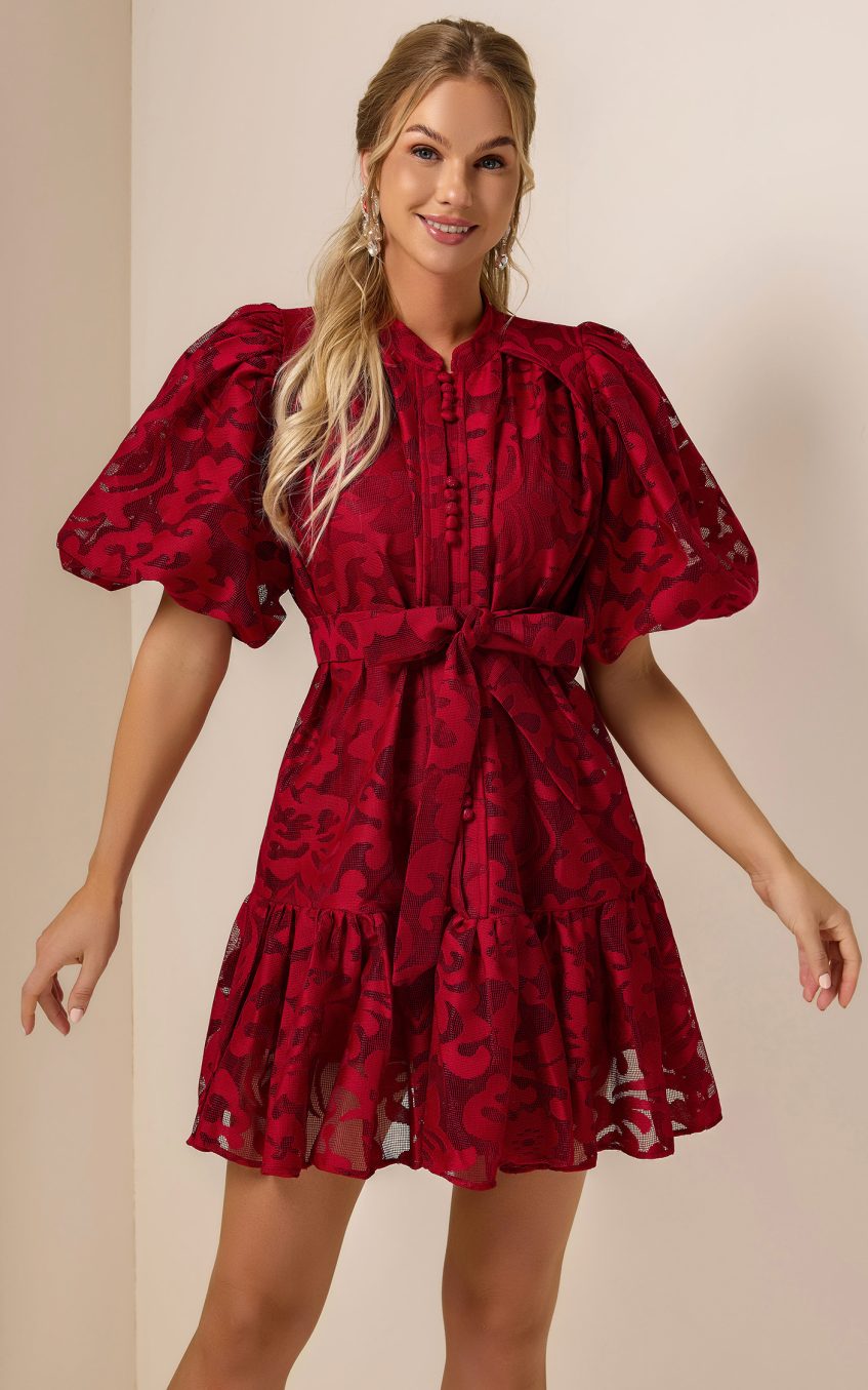 Lace Single Breasted Ruffle Mini Dress