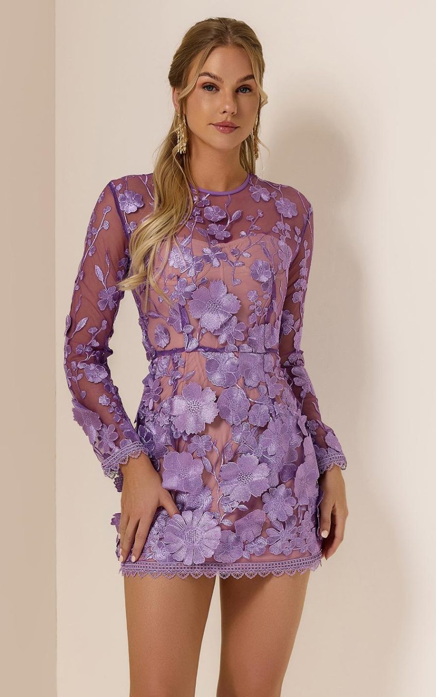 Embroidered Long Sleeve Round Neck Mini Dress