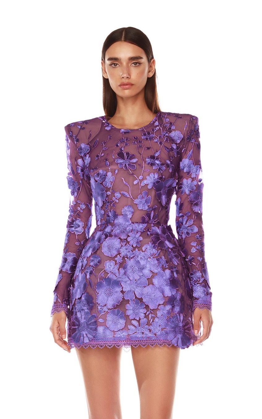 Embroidered Long Sleeve Round Neck Mini Dress